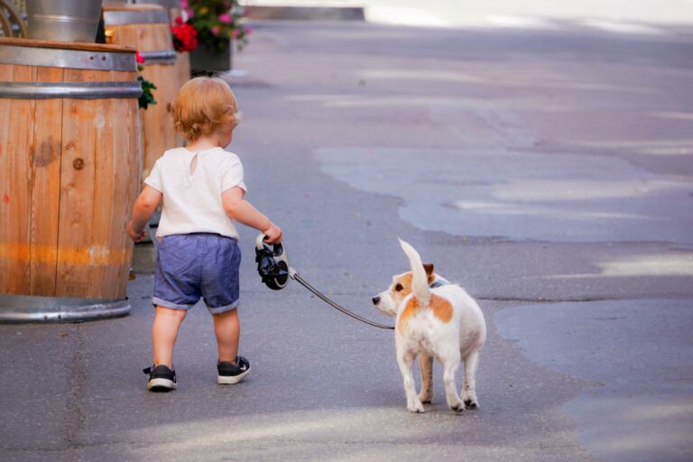 child walking dog on a leash