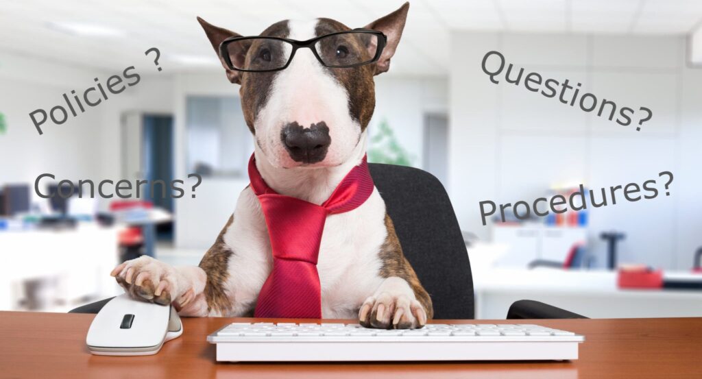 Dog with a red tie sitting at an office desk