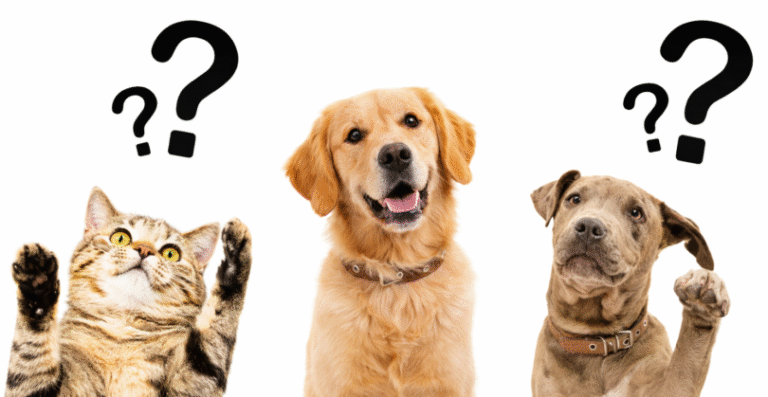 We answer your quesitons