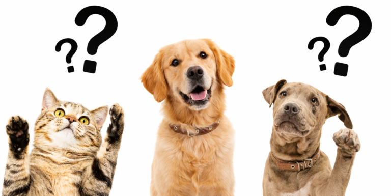 We answer your quesitons