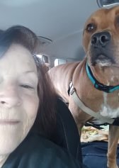 Car ride with dog
